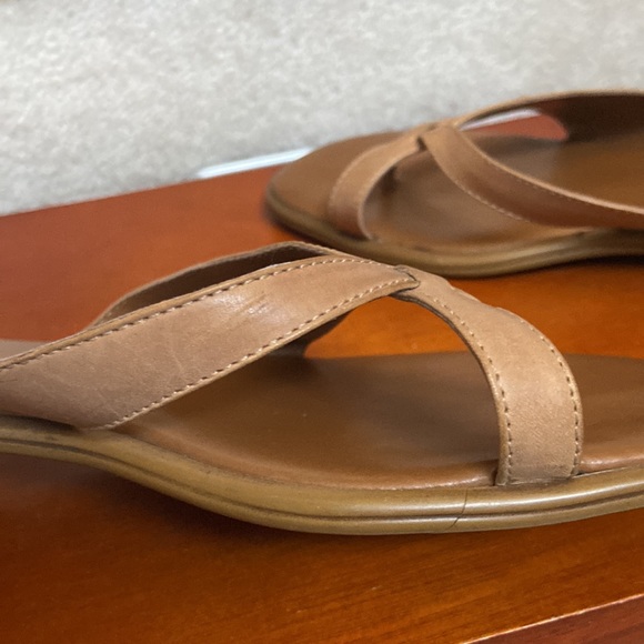 pappagallo slides / sandals - Picture 14 of 15